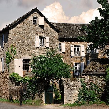 Maison D'Hotes La Singuliere Severac-d'Aveyron Luaran gambar